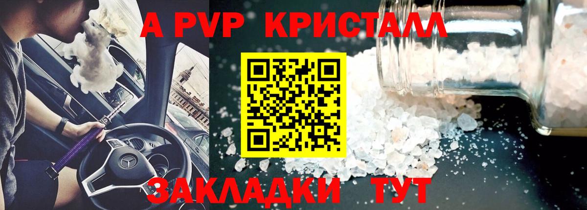 A PVP СК КРИС Вологда