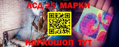 сатива Тверь