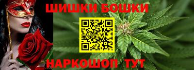 сатива Тверь