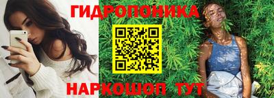 сатива Тверь