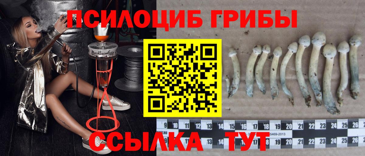 купить наркотик  Псилоцибиновые грибы мухоморы  Галлюциногенные грибы Magic Shrooms  Вход с VPN  Вологда 